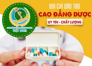 cac_truong_cao_dang_duoc_o_tphcm