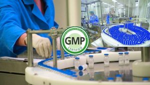 GMP trong ngành dược