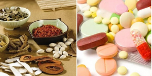 lịch sử y dược Việt Nam 12