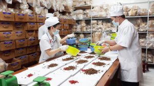 học y học cổ truyền ở đâu